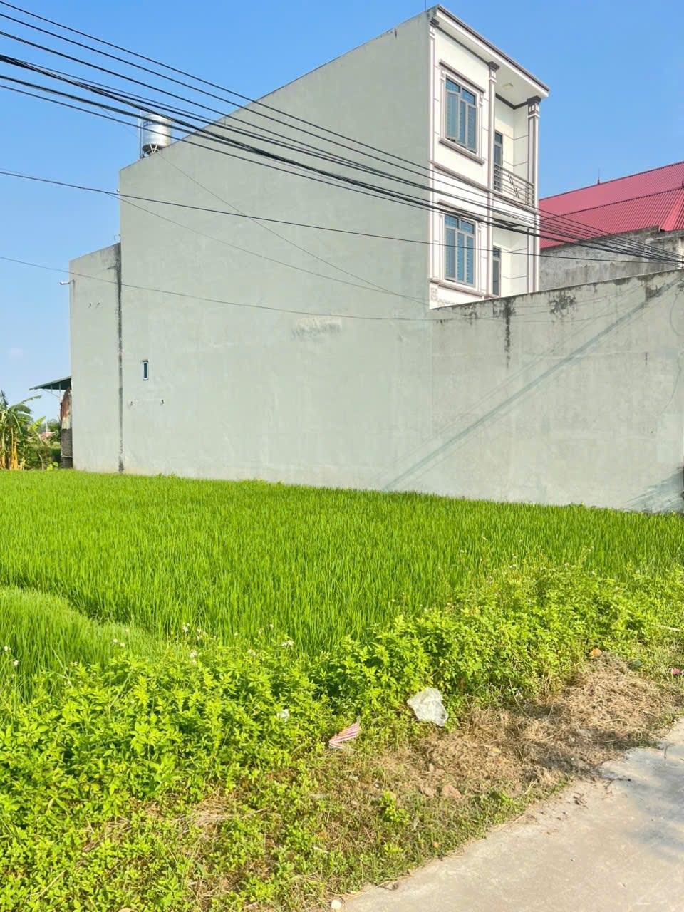 Đất nền Hiệp Hòa, Bắc Giang 137m² giá 3,85 tỷ - Cơ hội đầu tư lý tưởng!