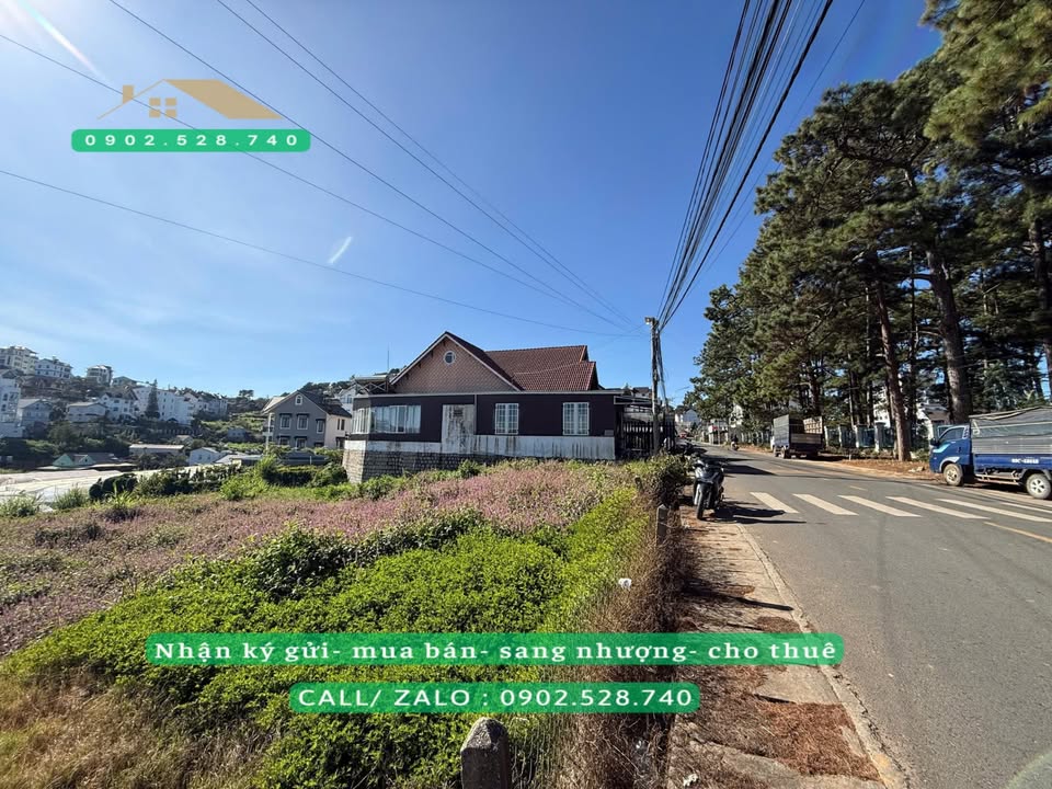 Đất mặt tiền đường Nam Hồ phường 11 Đà Lạt 780m² giá 22.8 tỷ - Vị trí đắc địa cho nghỉ dưỡng!