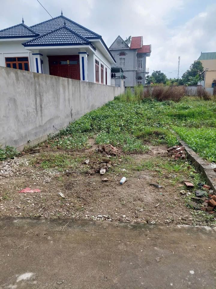 Đất nền thổ cư 66m² tại Áng Sơn, Thái Sơn, An Lão - Gần trung tâm chỉ 5 phút!