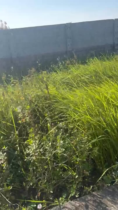 Đất nền Chương Dương, Thường Tín 40m² giá 1.68 tỷ - Cơ hội đầu tư hiếm có!