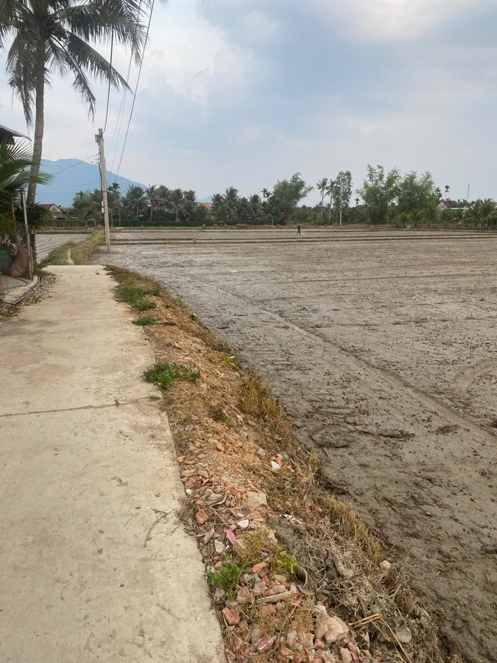 Đất nền 1588m² Ninh Hòa, Khánh Hòa giá 6.352 tỷ - Sổ đỏ chính chủ, tiện ích xung quanh phong phú!