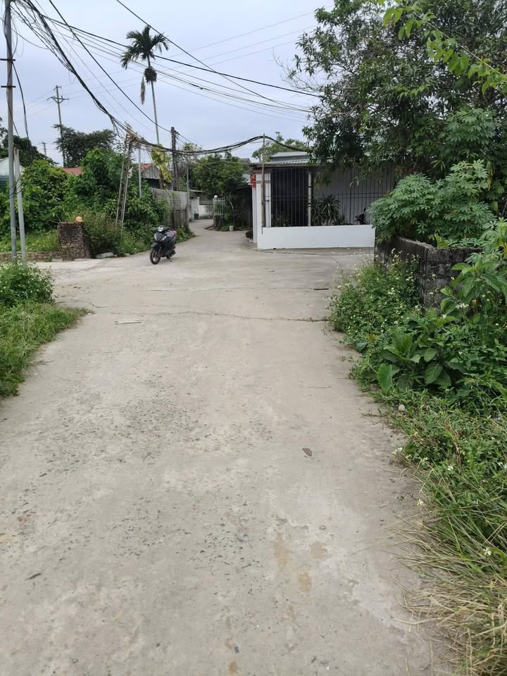 Đất nền tại ngõ 259 khu phố 5 Hải Yên, 90m² giá 1 tỷ - Cơ hội đầu tư hấp dẫn!