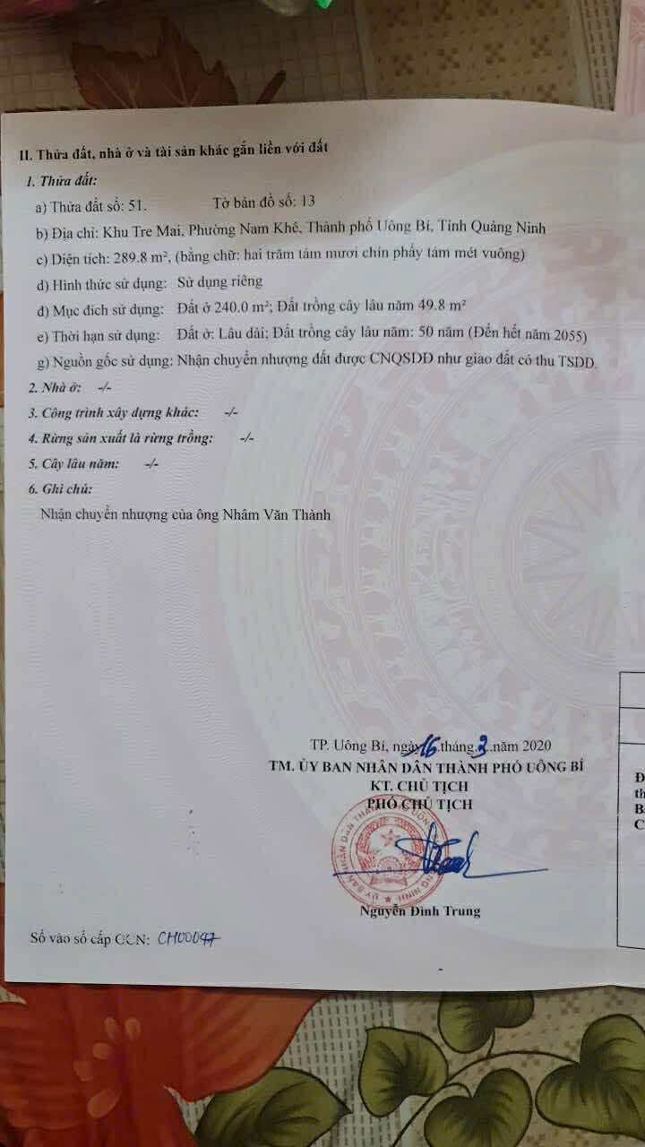 Đất nền Nam Khê Uông Bí 290m² giá 2 tỷ - Cơ hội đầu tư tuyệt vời!