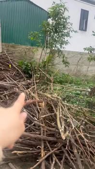 Đất Nghi Đức Vinh 109m² giá 2 tỷ - Đường ô tô tránh nhau, hướng Đông Bắc!