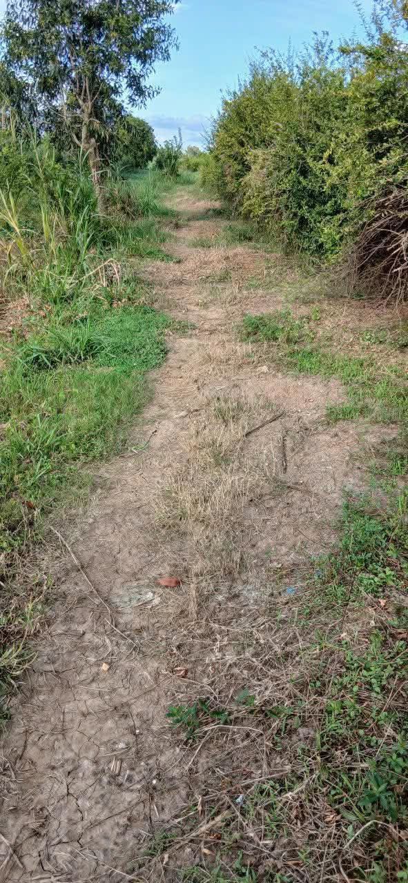 Đất nền cây lâu năm 616m² tại ấp Bồ Đề, Gò Công Đông - Giá chỉ 100 triệu VND!