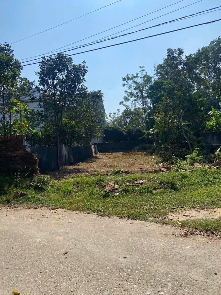 Đất thổ cư tại Danh Thắng, Hiệp Hòa 170m² - Gần cụm công nghiệp, giá thỏa thuận!