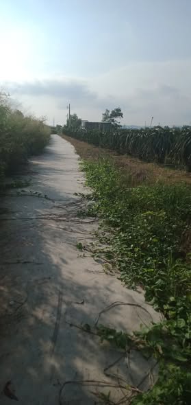 Đất CLN 11375m² Hàm Minh, Hàm Thuận Nam giá 810 triệu - Đầu tư sinh lời ngay!