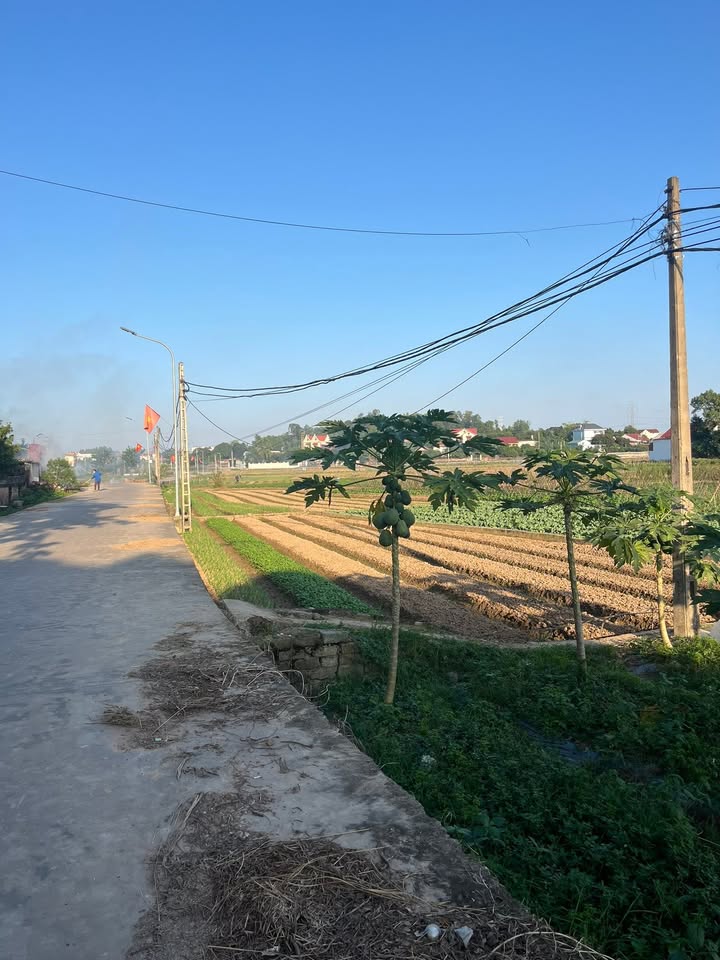 Đất ở Tân Dĩnh Lạng Giang 225m² - Mặt tiền 22m, Giá thỏa thuận hấp dẫn!