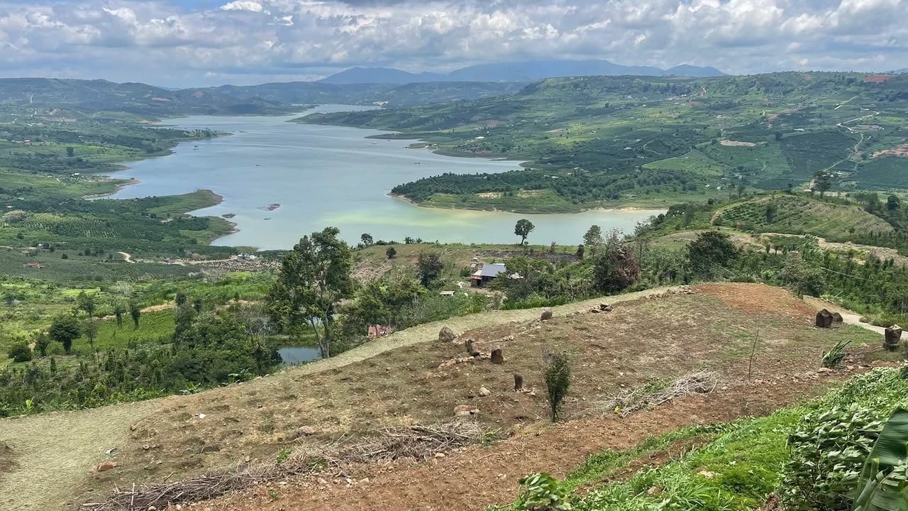 Vườn cà phê Di Linh 3132m² giá thỏa thuận - View sông Đồng Nai tuyệt đẹp!