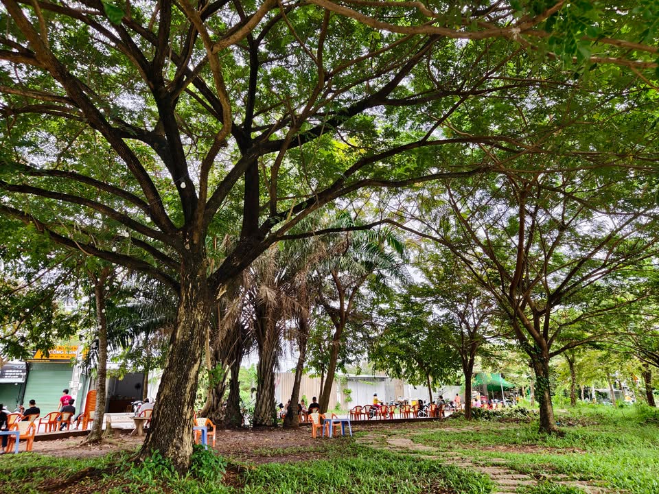 Đất nền đường A2 KDC Hưng Phú 1, Cần Thơ 74.25m² giá 5 tỷ - Cơ hội đầu tư hấp dẫn!