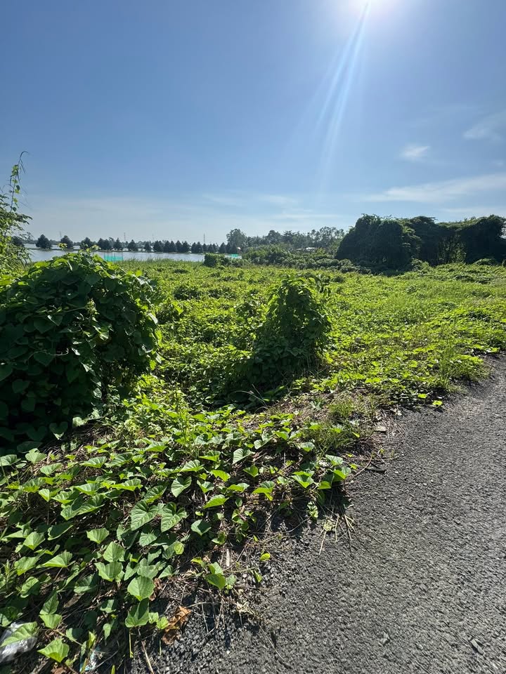 Đất thổ cư 241m² tại Ô Môn Cần Thơ - Giá 1.17 tỷ - Phù hợp định cư