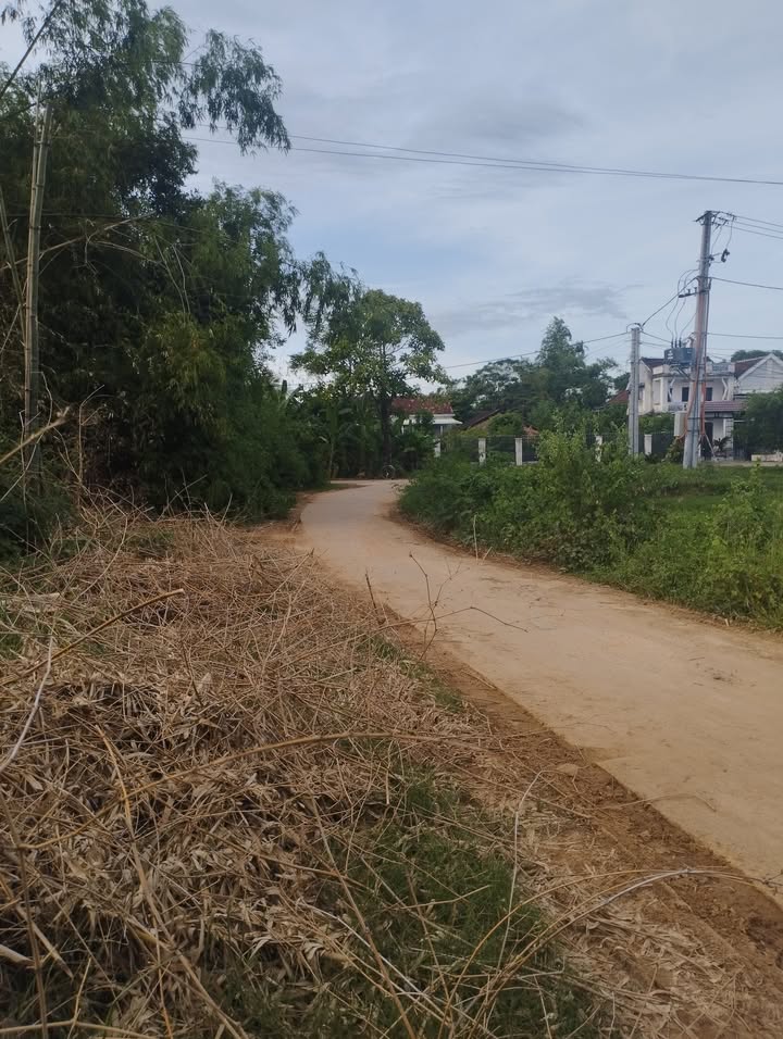 Đất nền thôn Đồng Sim, xã Tây Xuân, 190m² - Vị trí đẹp, giá thỏa thuận!