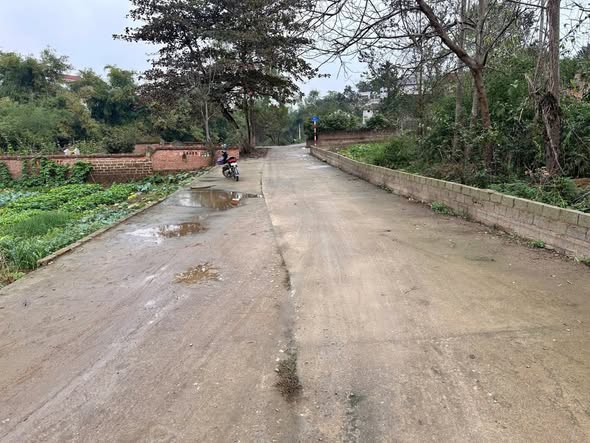 Đất nền Hạ Bằng Thạch Thất 256m² giá 6.042 tỷ - Cơ hội đầu tư hiếm có!