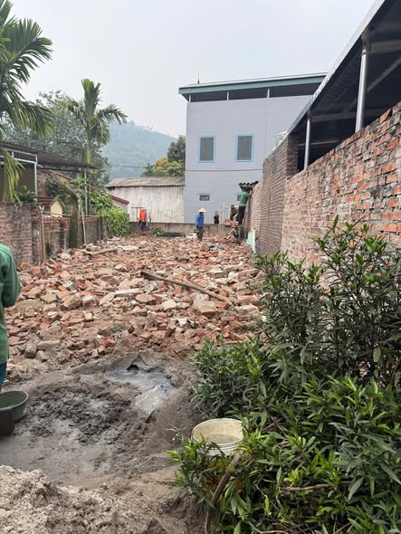 Đất thổ cư 141m² hai mặt tiền tại Yên Bình, Thạch Thất - Giá chỉ 3 tỷ!