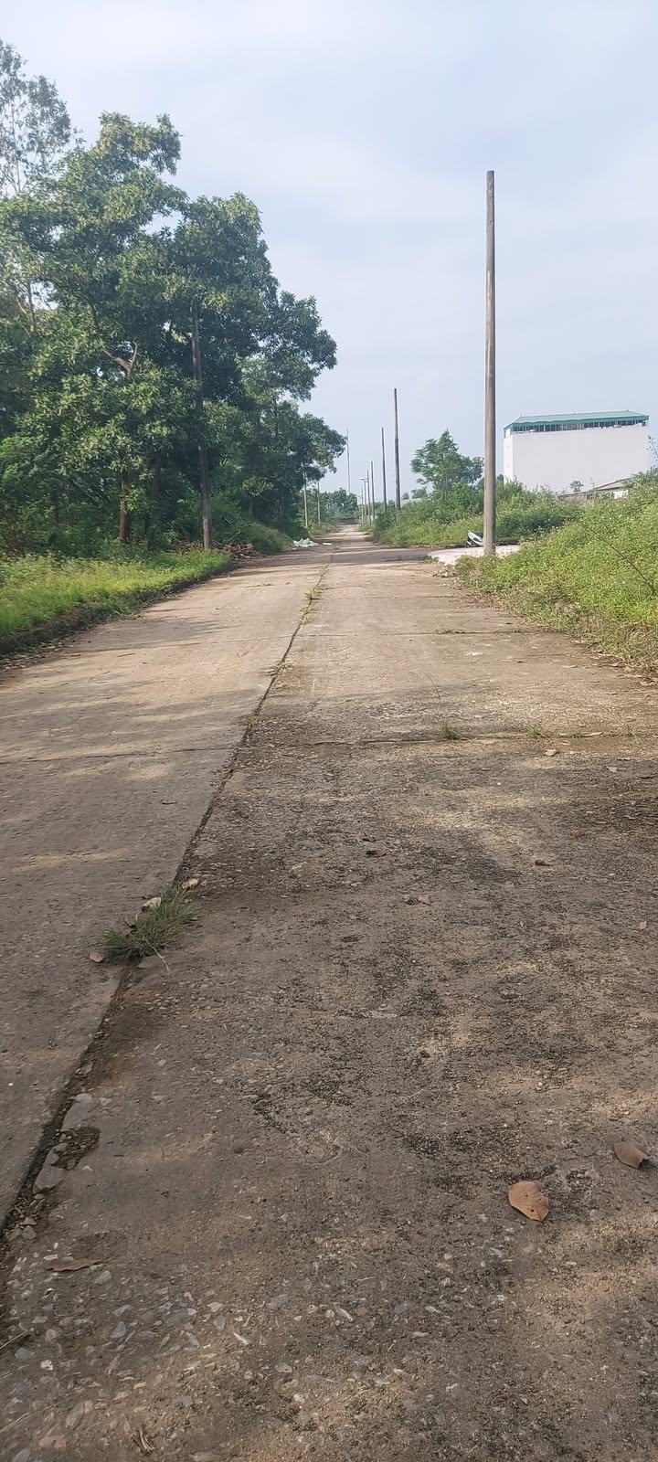 Đất Tái định cư Linh Sơn, Thạch Thất 100m² giá chỉ từ 4x triệu/m - Đầu tư sinh lời cao!