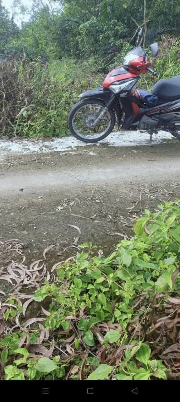 Đất nền ấp Hành Chính, huyện Phước Long 539m² giá 50 triệu - Cơ hội đầu tư hấp dẫn!