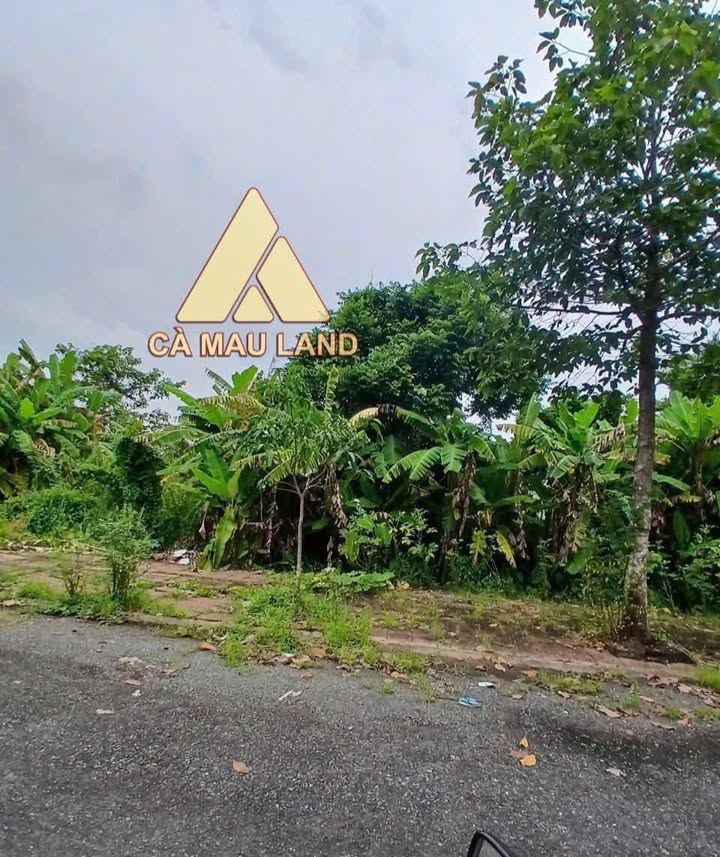 Đất nền đường Lê Đức Thọ, Cà Mau 243m² giá 1.8 tỷ - Cơ hội đầu tư hấp dẫn!