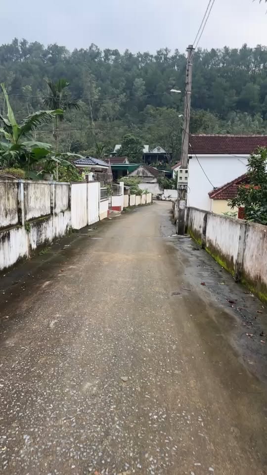 Đất nền Thượng Tân Lộc, Nam Đàn 300m² giá 1.2 tỷ - Chính chủ bán gấp!