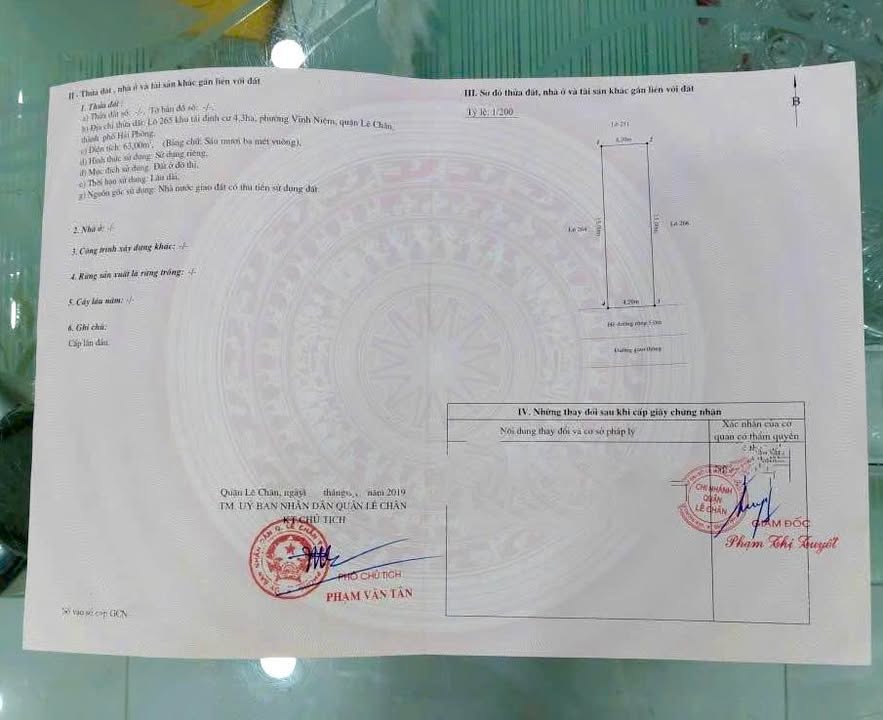 Đất mặt đường Bùi Viện, quận Lê Chân, Hải Phòng 63m² giá 6.49 tỷ - Vị trí đắc địa đầu tư!