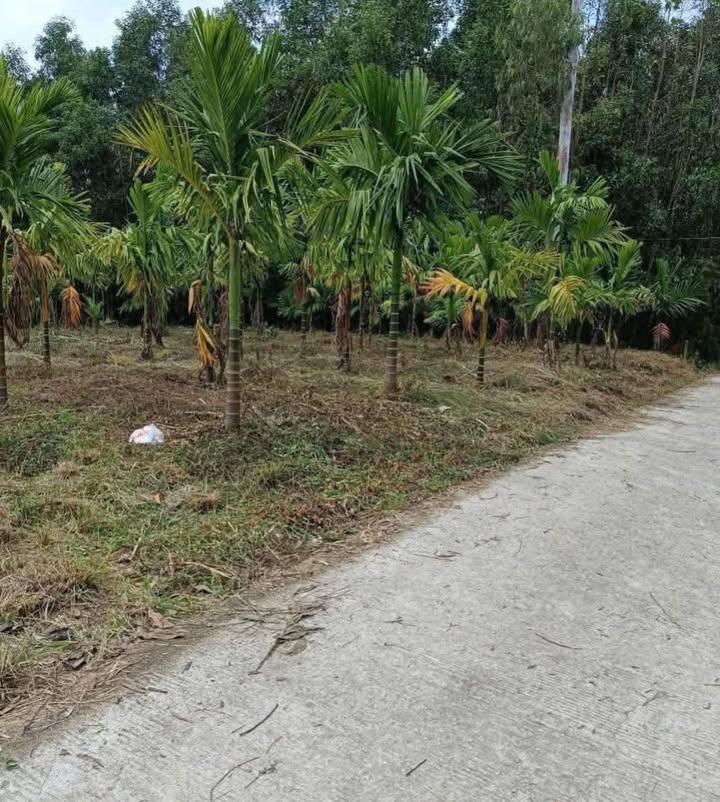 Đất thổ cư Nghĩa Thắng 2200m² giá 800 triệu - Chính chủ thương lượng ngay!