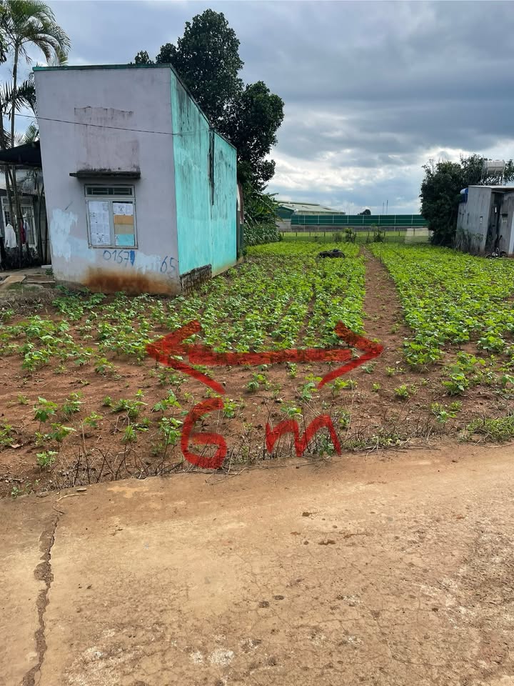 Đất nền Đức Trọng Lâm Đồng 300m² giá 1.75 tỷ - Đường thông rộng, xe tải vào tận nơi!