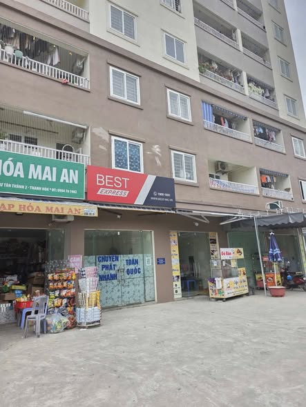 Căn hộ Tân Thành, Tân Phú 39m² - Chính chủ bán, giá tốt!