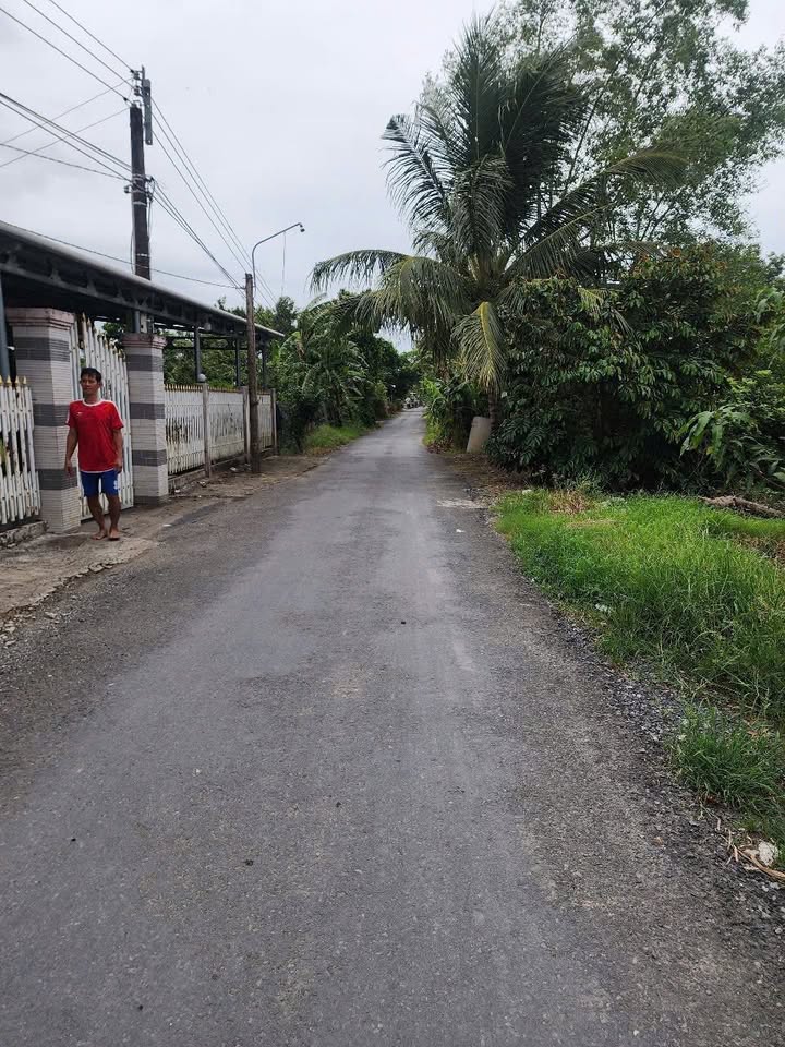 Đất nền Tân Nhuận Đông 1100m² giá 1,6 tỷ - Hướng Đông Nam, đầu tư sinh lời!