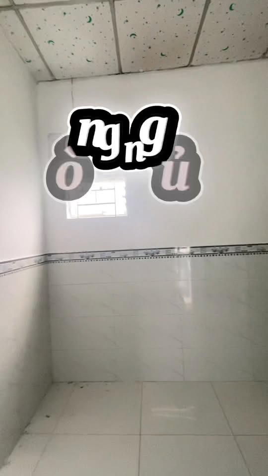 Nhà phố Đức Hòa 44m² giá thỏa thuận - Sát chợ Mỹ Hạnh, gần bệnh viện Hàn Quốc!