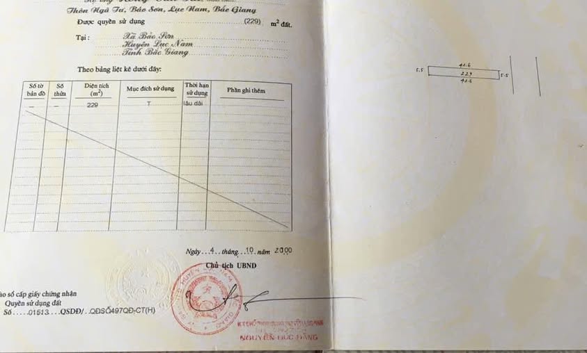 Đất nền Bảo Sơn, Lục Nam, 225m² giá 4,9 tỷ - Sổ hồng chính chủ!