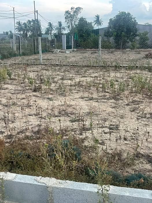 Đất thổ cư 1882m² tại khu phố Mỹ Ca, Cam Ranh - Giá chỉ 28.237 tỷ