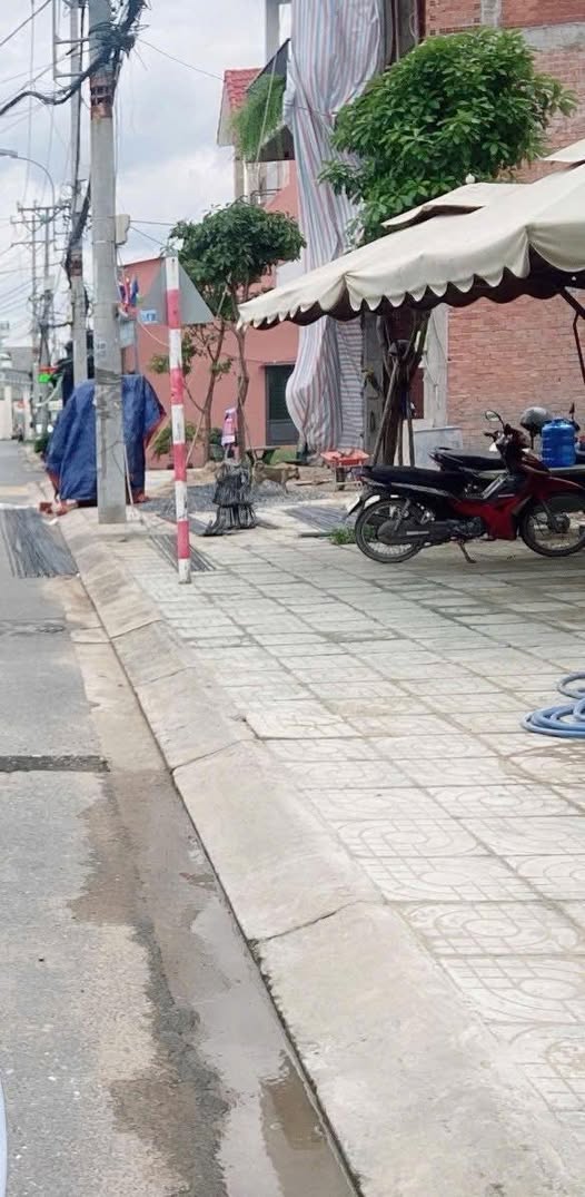 Đất Thạnh Xuân, Quận 12 - 56m² giá 6.5 tỷ - Đầu tư sinh lời ngay!