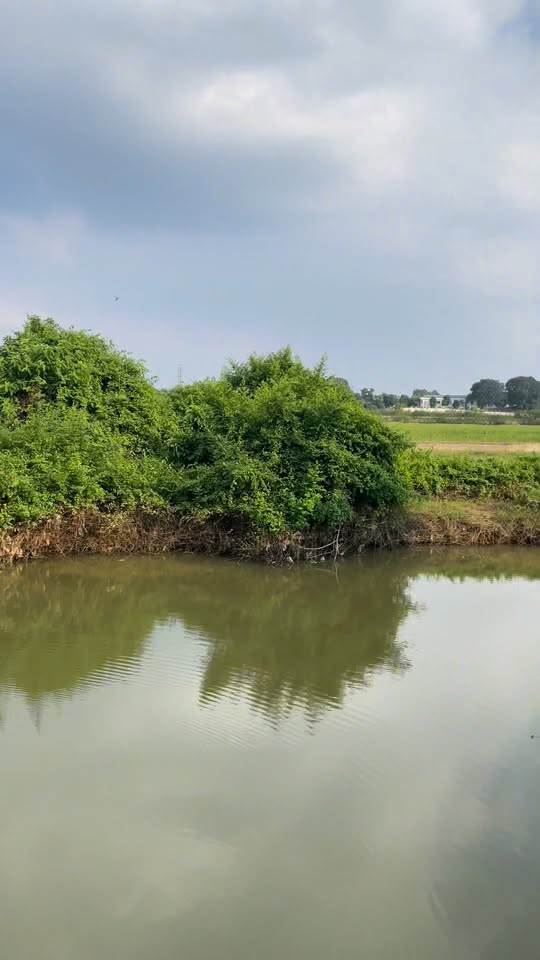 Đất nền 1800m² đường Đồng Trạng, Sơn Tây - Giá chỉ 10 triệu/m²!