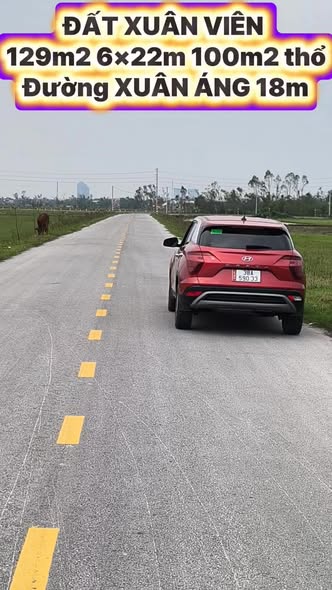 Đất thổ cư 129m² tại thôn Xuân Áng, Nghi Xuân - Giá chỉ 1.7 tỷ, Chính chủ bán gấp!