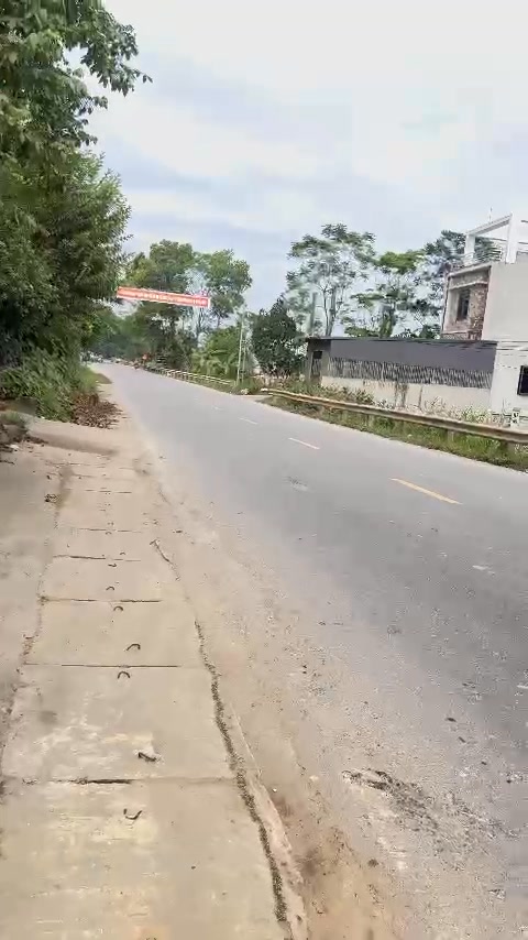 Đất chính chủ xã Cẩm Khê 100m² giá chỉ từ 550 triệu - Cơ hội vàng đầu tư!