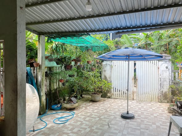 Đất tặng nhà cấp 4 tại Kim Long, Huế - Chỉ 2 tỷ - Cơ hội không thể bỏ qua!