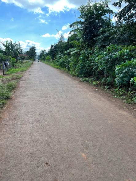 Đất nền Ea Drông 125m² giá 350 triệu - Vị trí thuận lợi, đầu tư sinh lời!