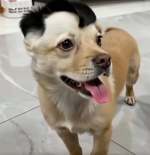 Đất nền Khu đô thị An Phú Quý 94.5m² giá chỉ 2.7 tỷ - Cơ hội đầu tư tuyệt vời!