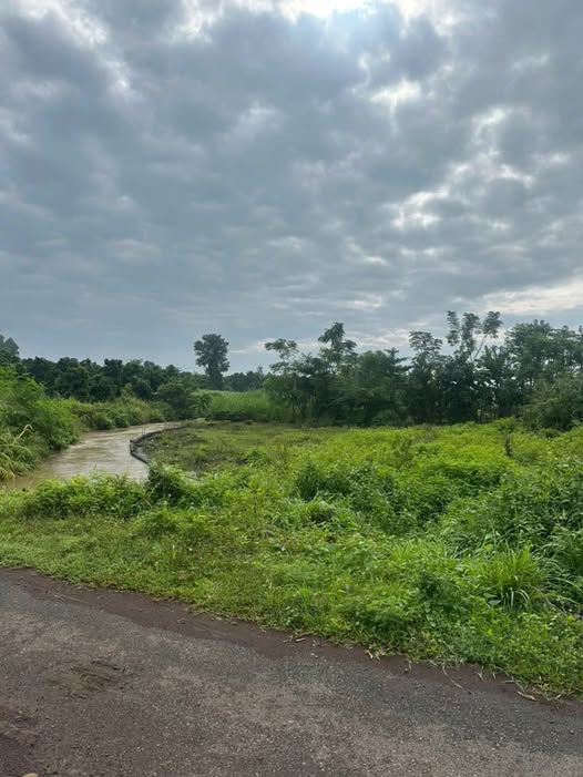 Đất nền Nghĩa Thành, Châu Đức 1230m² giá 2.1 tỷ - Mặt tiền đường nhựa, sổ hồng riêng!