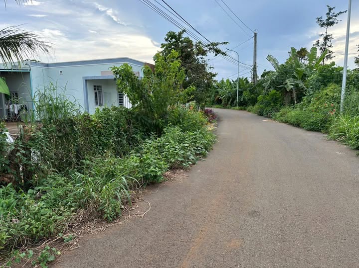 Đất nền chính chủ tại Châu Đức 234m² giá chỉ 1 tỷ - Cơ hội đầu tư hấp dẫn!