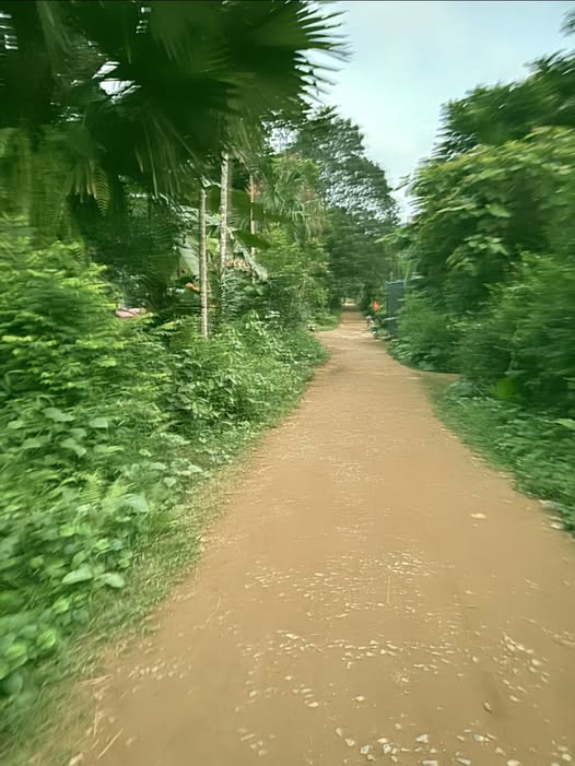 Lô đất đẹp Chí Đạo, Lạc Sơn 1800m² giá 850 triệu - Cơ hội đầu tư tuyệt vời!