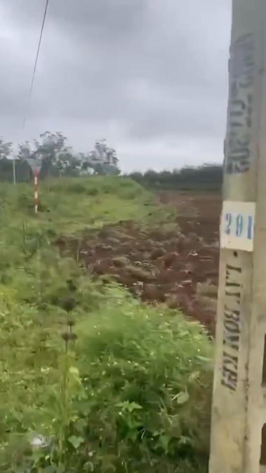 Đất mặt tiền đường tránh phường Cư Bao 10.000m² giá 5 tỷ - Cơ hội đầu tư hấp dẫn!