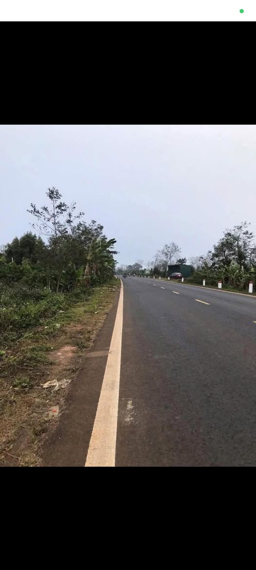 Đất nông nghiệp Buôn Hồ 30.000m² giá 3,9 tỷ - Tiềm năng phát triển lớn!