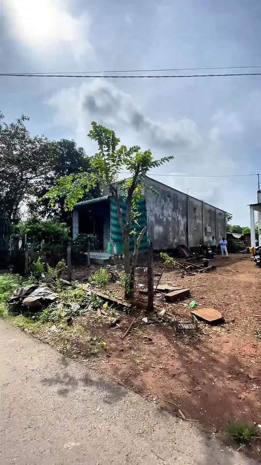 Nhà cấp 4 mặt tiền đường Nguyễn Hoàng, xã Trảng Bom, 322m² - Giá chỉ 950 triệu!