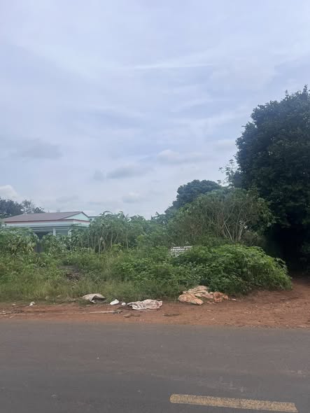 Đất nền 2 mặt tiền Quốc lộ 29, Krông Năng 420m² - Giá chỉ 360 triệu VND!