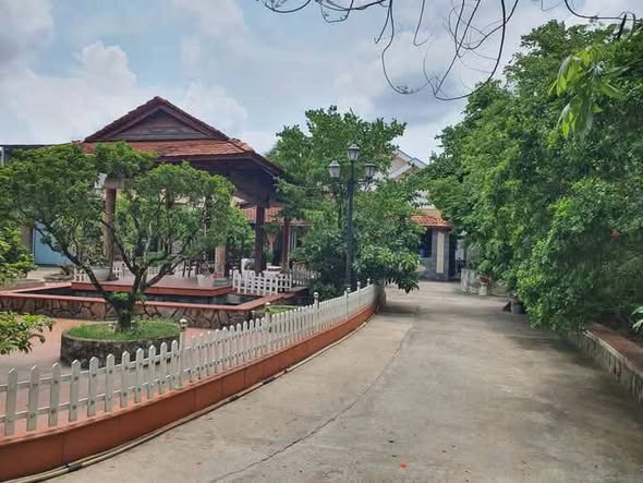 Đất mặt tiền Quốc lộ 60 Bến Tre 1566m² giá 28.193 tỷ - Cần bán gấp, thương lượng mạnh!