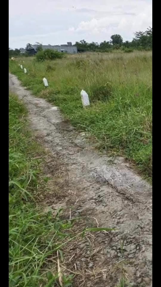 Đất nền 160m² Ấp Tân Xuân, Gò Công Đông chỉ 170 triệu - Sổ đỏ chính chủ!