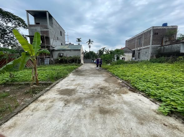 Đất nền tại xã Hợp Thanh, Mỹ Đức 51.4m² giá 8 tỷ - Đường ô tô vào tận nơi!