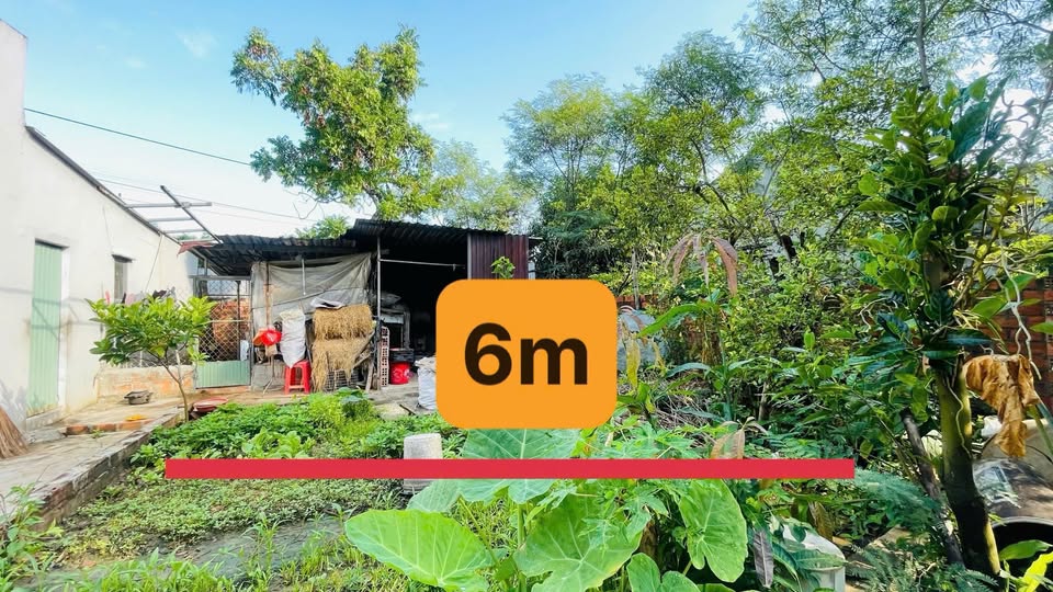 Đất nền Phước Nghĩa, Tuy Phước 110m² giá chỉ từ 500 triệu - Sổ đỏ chính chủ!