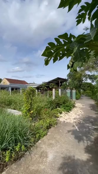 Đất nền Phước An Tuy Phước 113m² giá 570 triệu - View ruộng đẹp