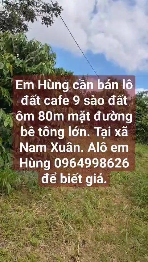 Đất nông nghiệp tại xã Nam Xuân 32.400m² - Cơ hội đầu tư sinh lời!